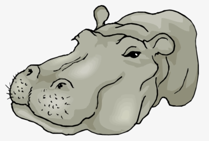 Free Hippo Clipart - Hippo Head Png, Transparent Png, Free Download