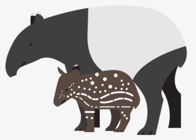 Tapir Clipart Denver Zoo Hippopotamus Clip Art - Tapir Transparent Background, HD Png Download, Free Download