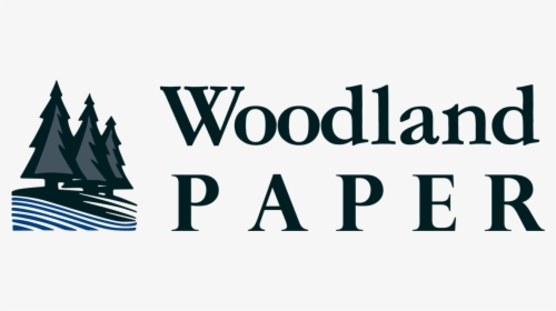 Woodland Paper - Swan Library, HD Png Download, Free Download