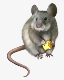 Realistic Mouse Clipart, HD Png Download, Free Download