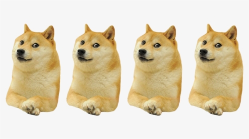 Doge Invisible, HD Png Download, Free Download