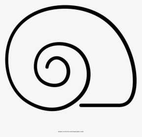 Snail Shell Coloring Page - Caparazon De Caracol Dibujo, HD Png Download, Free Download