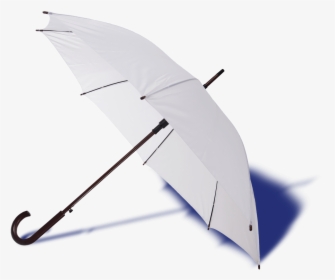 Umbrella, HD Png Download, Free Download
