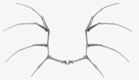 Bone Wings Png - Portable Network Graphics, Transparent Png, Free Download