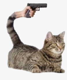 Transparent, Pngs, And Ig - You Mess With The Meow Meow You Get The Peow Peow, Png Download, Free Download