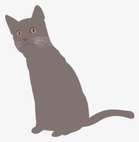 Cat Clipart , Png Download - Black Cat, Transparent Png, Free Download