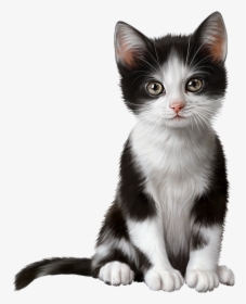 Cute Kitten Clip Art, HD Png Download, Free Download