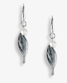 Nicole Barr Designs Sterling Silver Shell Wire Earrings-gray - Earrings, HD Png Download, Free Download