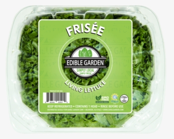 Frisee Living Lettuce - Broccoli, HD Png Download, Free Download