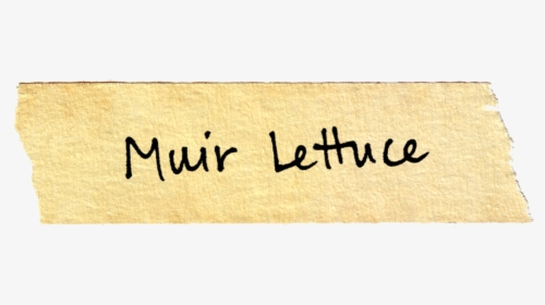 Calligraphy, HD Png Download, Free Download