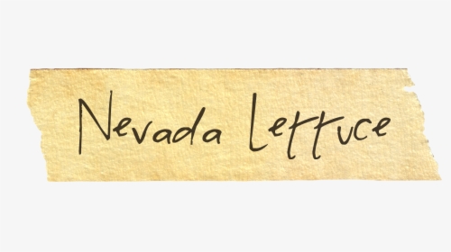 Calligraphy, HD Png Download, Free Download