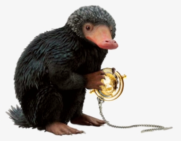 #knightbus #sirnigel #niffler #timeturner #fantasticbeasts - Harry Potter Png, Transparent Png, Free Download