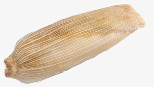 Blond, HD Png Download, Free Download