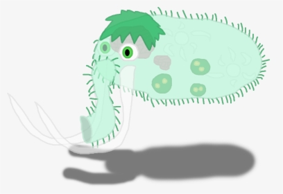 Common - Illustration, HD Png Download, Free Download