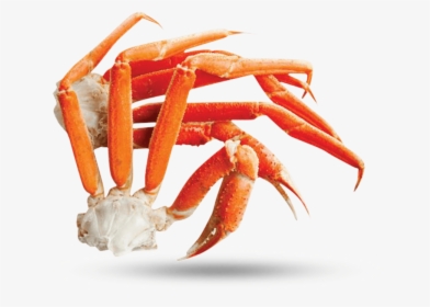 Snow Crab Legs - Freshwater Crab, HD Png Download, Free Download