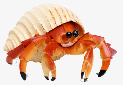 Crab Png Photo Background - Hermet Crab, Transparent Png, Free Download