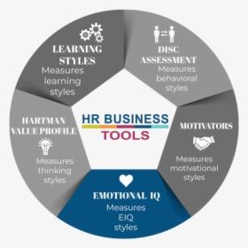 Learning Styles In Hr, HD Png Download, Free Download