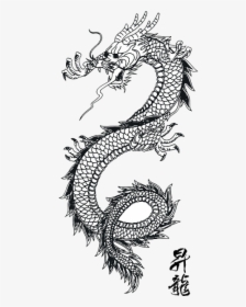 Lotus Tattoo Design For Hand - Transparent Japanese Dragon Png, Png Download, Free Download