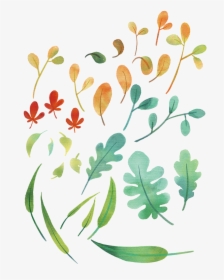 Plants The Leaves Leaves Free Photo - Floral Design, HD Png Download, Free Download