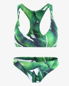 Swimsuit Bottom, HD Png Download, Free Download