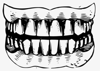 Gritted Teeth Black And White Vector Illustration - Teeth Clipart Black And White Png, Transparent Png, Free Download