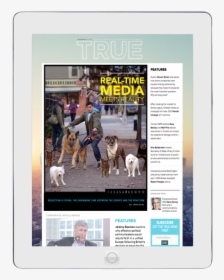 True Digital Stack 0001 2 - Greenland Dog, HD Png Download, Free Download