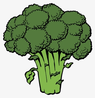 5 Foods Superheroes Eat - Broccoli Clip Art, HD Png Download, Free Download
