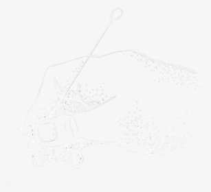 Line Art, HD Png Download, Free Download