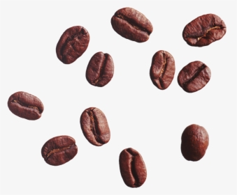Coffee Bean Cafe Clip Art - Coffee Bean No Background, HD Png Download, Free Download