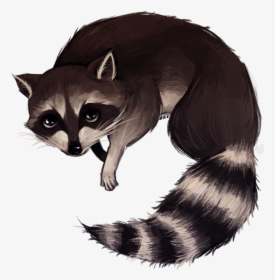 Http - //img - Photobucket - - Raccoon Drawing Png - Striped Skunk, Transparent Png, Free Download