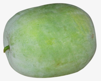 Winter Melon Png Image - Ash Gourd Png, Transparent Png, Free Download