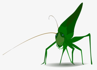 Grasshopper Cartoon, HD Png Download, Free Download