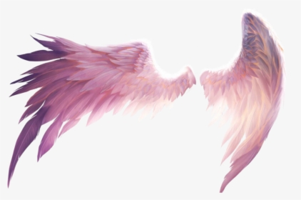 Transparent Demon Wings Png Transparent Pink Angel Wings Png Download Kindpng - pink fairy wings roblox
