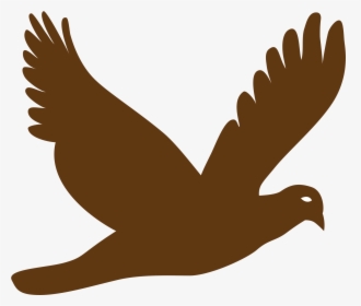 Transparent Vulture Silhouette Clip Art - Flying Bird Png Vector, Png Download, Free Download