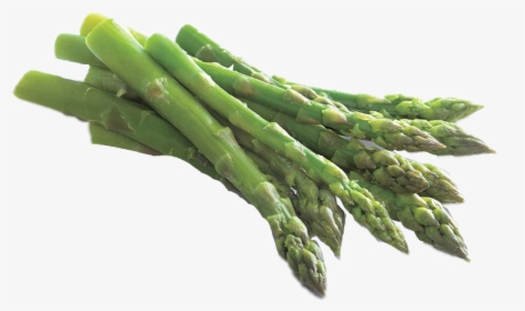 #asparagus - Garden Asparagus, HD Png Download, Free Download