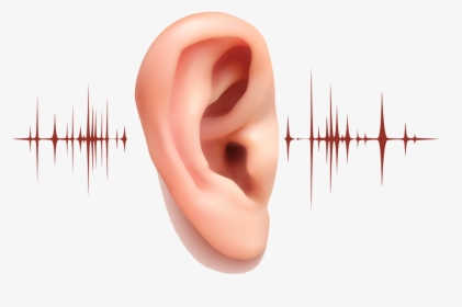 Image - 5 Ways To Take Care Of Your Ears, HD Png Download, Free Download