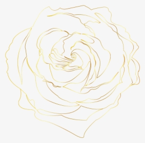 #goldrose #rose #gold #goldlines #flower #decor #background - Floribunda, HD Png Download, Free Download