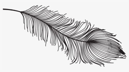 Vintage Black And White Feather Png, Transparent Png, Free Download