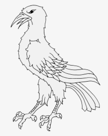 Transparent Raven Feather Png - Bird Of Prey, Png Download, Free Download