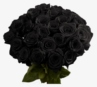 Online Black Roses For Sale - Red Rose Flower, HD Png Download, Free Download