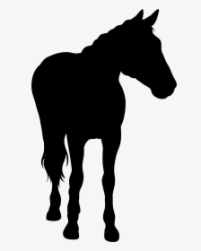 A Horse Silhouette Png Download - Silhouette Black Horse Png, Transparent Png, Free Download