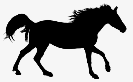 Mare,horse,silhouette - Paint Horse Silhouette, HD Png Download, Free Download