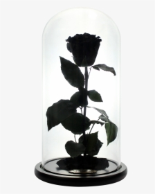 Black Beauty And The Beast Rose, HD Png Download, Free Download