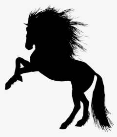 Horse Stallion Colt Rearing Silhouette - Rearing Unicorn, HD Png Download, Free Download