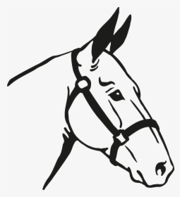 Horse Head Silhouette Png - Horse Vector, Transparent Png, Free Download