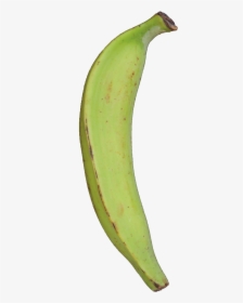 Plantain Green Raw Dirt - Plantains Png, Transparent Png, Free Download