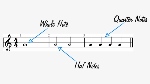 Whole Notes, Half Notes And Quarter Notes Example Graphic - Treble Clef, HD Png Download, Free Download