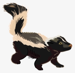 Download This High Resolution Skunk Transparent Png - Skunk Clip Art, Png Download, Free Download