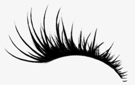 #eye #eyes #eyelashes #eyelash #eyeliner #ftestickers - Transparent Background Eyelashes Png, Png Download, Free Download