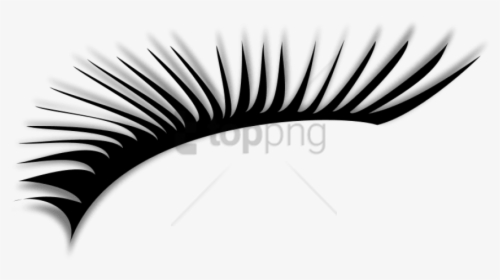 Free Png Eye Lashes Png Image With Transparent Background - Free Transparent Background Lashes, Png Download, Free Download